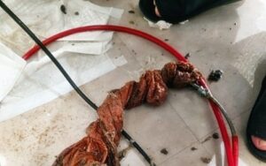 신장동하수구막힘 싱크대막힘 역류는 관리 방식 차이문제