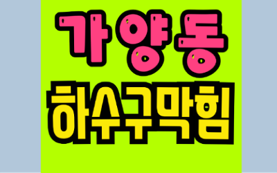 가양동 싱크대막힘 하수구막힘 역류 진흙댐 해결책