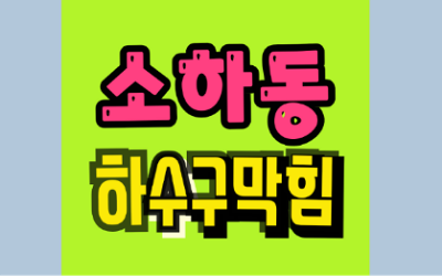 소하동 하수구막힘 필로티구조 싱크대 역류 대공사비 막는법