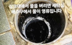 배관 내시경을 통한 전문가의 정밀 진단과 해결