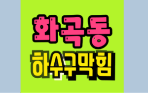 화곡동싱크대막힘, 방치하면 겪게 될 하수구막힘 문제와 해결법