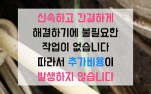별내동싱크대막힘 하수구막힘