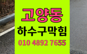 고양동싱크대막힘 하수구막힘 역류 한약이 만든 아스팔트