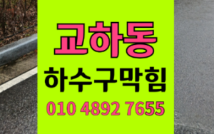 교하동싱크대막힘 하수구막힘 역류 붉은 모래의 습격