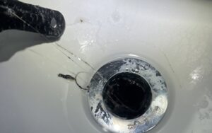 해양동싱크대막힘 하수구막힘 역류 검은 젤리의 공포