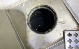 월피동싱크대막힘 하수구막힘 역류 질긴 버섯의 습격