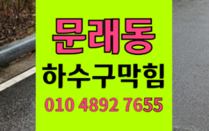 문래동싱크대막힘 하수구막힘 탕후루 설탕 역류 뚫음