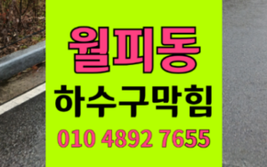 월피동싱크대막힘 하수구막힘 역류 질긴 버섯의 습격