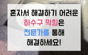 이동 싱크대막힘 하수구막힘 역류 핑크빛 돌덩이의 최후