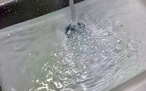 대야동싱크대막힘 하수구막힘 역류 끈적한 단백질의 습격