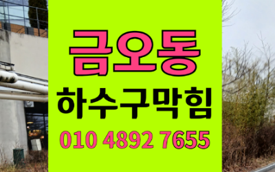 금오동하수구막힘 싱크대막힘 역류한 순두부의 악취