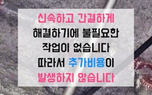 중랑구 묵동싱크대막힘 하수구막힘 역류 튀김의 공포