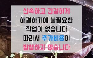 노원구 월계동싱크대막힘 커피가루 역류 뚫는 비법