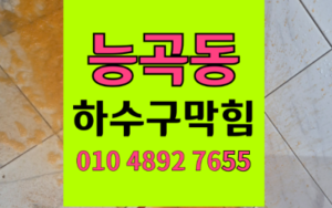 능곡동 싱크대막힘 하수구막힘 역류 완벽 해결