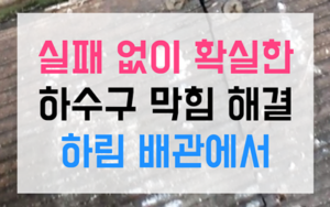 반려동물 목욕이 유발한 끔찍한 배관 위기