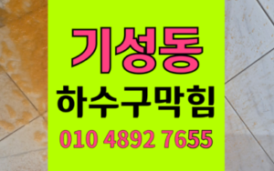 기성동 싱크대막힘 하수구막힘 역류 전문해결