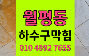 월평동 싱크대막힘 하수구막힘 역류 완벽 해결