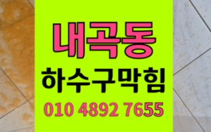 내곡동 싱크대막힘 하수구막힘 역류 해결의 정석