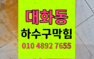 대화동 하수구막힘 싱크대막힘 역류 해결 전문가