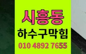 시흥동 하수구막힘 싱크대막힘 채소섬유질 완벽제거