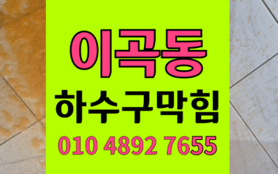 이곡동 싱크대막힘 하수구막힘 역류 현상 마스터하기