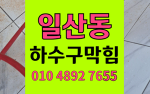 일산동 하수구막힘 싱크대막힘 역류 해결 비책