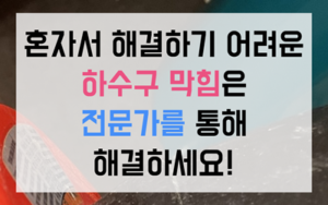 정밀 진단 및 하수구역류 원인 분석