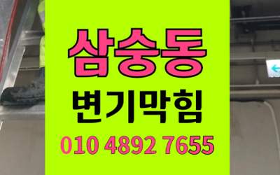 삼송동 변기막힘 오수관막힘 고양이모래 역류 해결