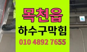 목천읍 싱크대막힘 하수구막힘 단백질 보충제 침전물
