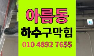 아름동 싱크대막힘 하수구막힘 청국장 콩가루 끈적임