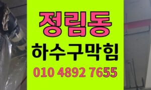 정림동 싱크대막힘 하수구막힘 차전자피 젤리 역류