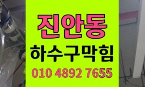 진안동 싱크대막힘 하수구막힘 역류 생쌀 팽창