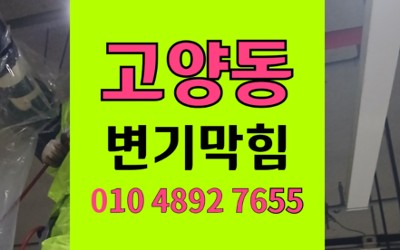 고양동 변기막힘 역류 윗집 물바다 고압세척