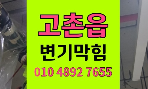 고촌읍 변기막힘 역류 야간 출동 적출