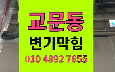 구리 교문동 변기막힘 역류 무선이어폰 빠짐 해결