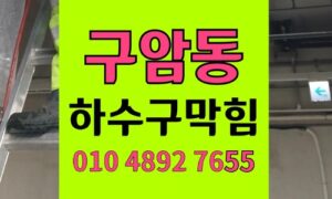 구암동 싱크대막힘 하수구막힘 건조 나물 팽창