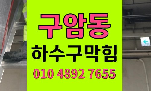 구암동 싱크대막힘 하수구막힘 건조 나물 팽창