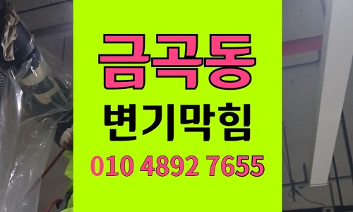 금곡동 변기막힘 역류 세라믹구슬 유입 뚫음
