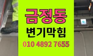금정동 변기막힘 캣닢볼 역류 변기 안뜯고 해결