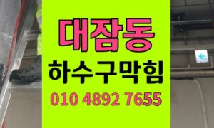 대잠동 싱크대막힘 하수구막힘 코코넛오일 버터 굳음