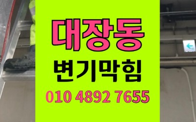 대장동 변기막힘 역류 고무패드 비파괴 완벽통수