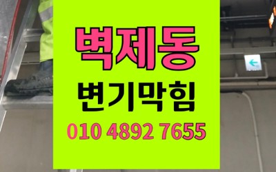 덕양구 벽제동 변기막힘 역류 세정제케이스 석션 통수