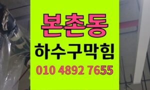 본촌동 싱크대막힘 하수구막힘 사료와 동물털 역류