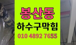 봉산동 싱크대막힘 하수구막힘 오트밀 치아시드 팽창
