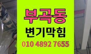 부곡동 변기막힘 역류 배관 진단과 이물질 확인