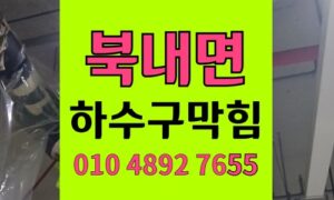 북내면 싱크대막힘 하수구막힘 장난감 개구리알 역류