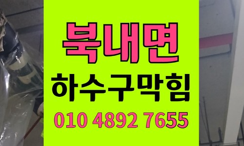 북내면 싱크대막힘 하수구막힘 장난감 개구리알 역류