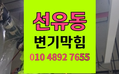 선유동 변기막힘 역류 고양이 모래 고압세척