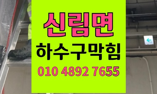 신림면 싱크대막힘 하수구막힘 감나무뿌리 관로침투 역류