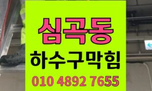 심곡동 변기막힘 역류 브러시 적출 해결